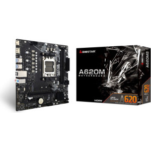 Biostar A620MS