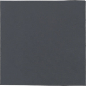 Thermal Grizzly Minus Pad Pro, 100x100x0.5 mm
