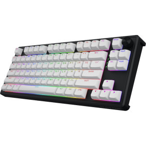 HATOR Skyfall Mag Ultra 8K 80 TKL RGB White/Black Aurum Ice Magnetic Linear Switch Mecanica