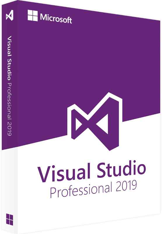 Aplicatie Microsoft Visual Studio Professional 2019, Perpetual