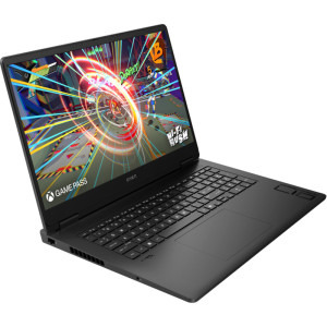 HP Gaming 17.3'' OMEN 17-db0000nq, FHD IPS 48-144Hz, Procesor AMD Ryzen™ 7 8845HS (16M Cache, up to 5.1 GHz), 16GB DDR5, 1TB SSD, GeForce RTX 4070 8GB, Free DOS, Shadow Black